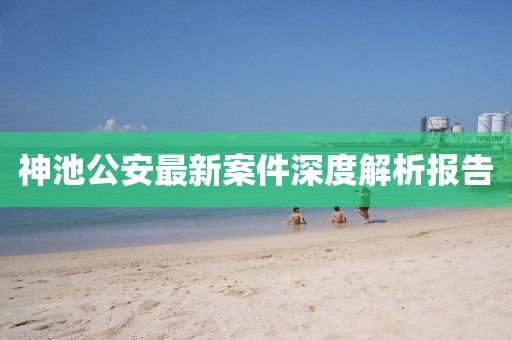 神池公安最新案件深度解析报告