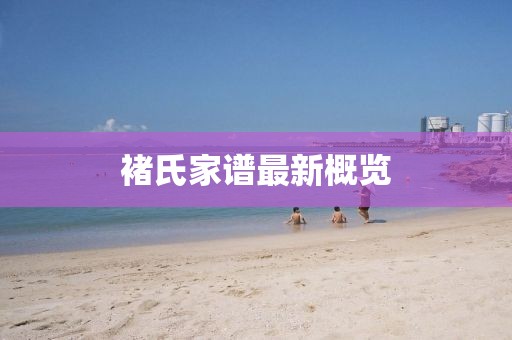 褚氏家谱最新概览