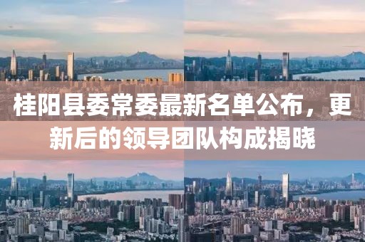 桂阳县委常委最新名单公布，更新后的领导团队构成揭晓