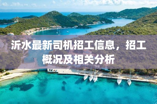 沂水最新司机招工信息，招工概况及相关分析