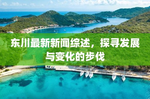 东川最新新闻综述，探寻发展与变化的步伐