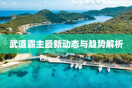 武道霸主最新动态与趋势解析