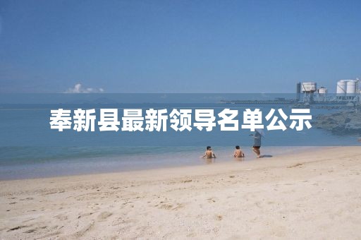 奉新县最新领导名单公示