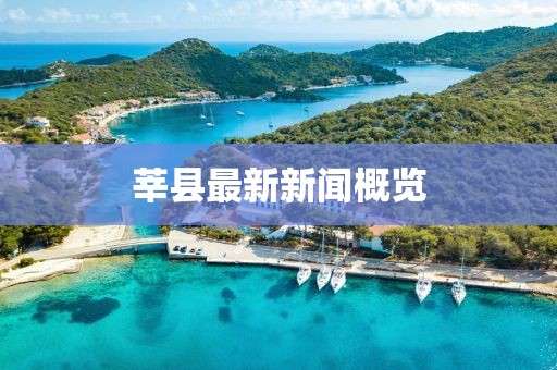 莘县最新新闻概览