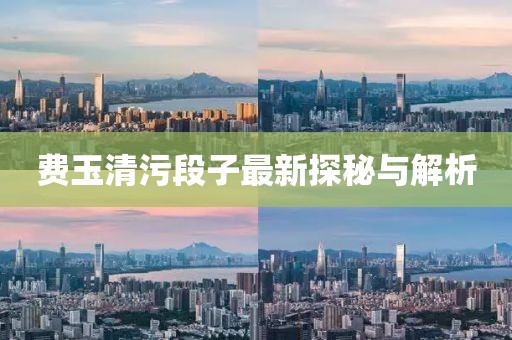 费玉清污段子最新探秘与解析