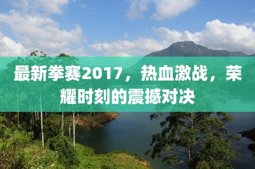 最新拳赛2017，热血激战，荣耀时刻的震撼对决