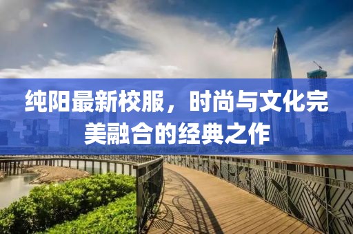 纯阳最新校服，时尚与文化完美融合的经典之作