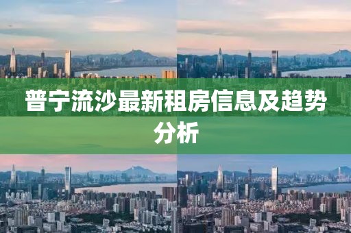 普宁流沙最新租房信息及趋势分析