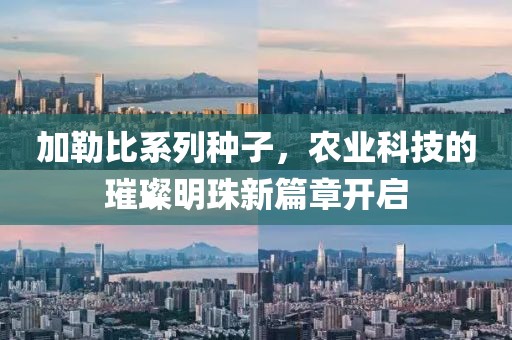 加勒比系列种子，农业科技的璀璨明珠新篇章开启