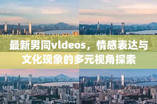 最新男同vldeos，情感表达与文化现象的多元视角探索