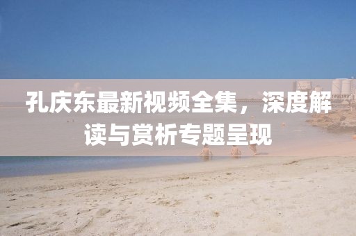 孔庆东最新视频全集，深度解读与赏析专题呈现