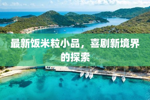 最新饭米粒小品，喜剧新境界的探索