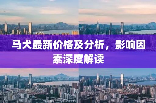 马犬最新价格及分析，影响因素深度解读