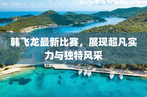 韩飞龙最新比赛，展现超凡实力与独特风采