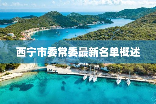 西宁市委常委最新名单概述