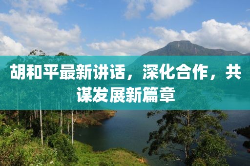 胡和平最新讲话，深化合作，共谋发展新篇章