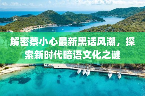 解密蔡小心最新黑话风潮，探索新时代暗语文化之谜
