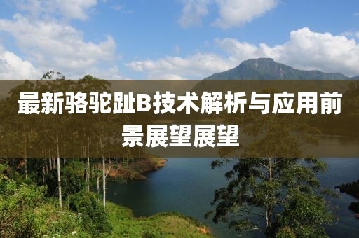 最新骆驼趾B技术解析与应用前景展望展望