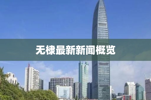 无棣最新新闻概览