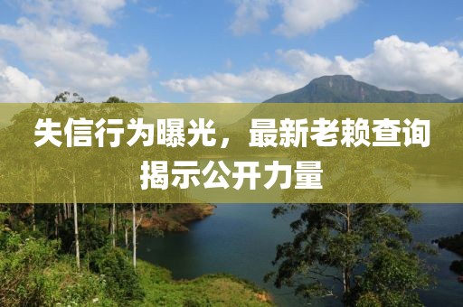 失信行为曝光，最新老赖查询揭示公开力量