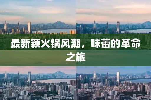 最新颖火锅风潮，味蕾的革命之旅