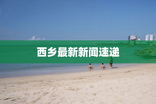 西乡最新新闻速递