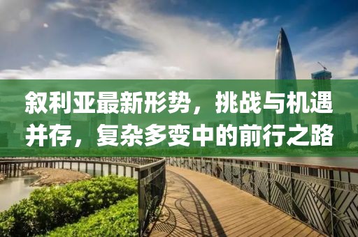 叙利亚最新形势，挑战与机遇并存，复杂多变中的前行之路