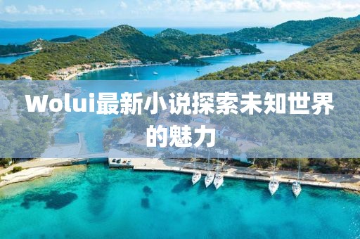 Wolui最新小说探索未知世界的魅力