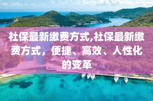 社保最新缴费方式,社保最新缴费方式，便捷、高效、人性化的变革