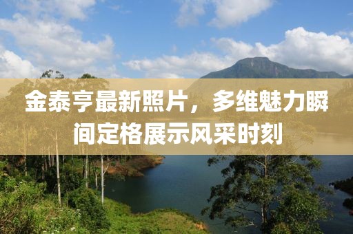 金泰亨最新照片，多维魅力瞬间定格展示风采时刻