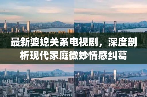 最新婆媳关系电视剧，深度剖析现代家庭微妙情感纠葛