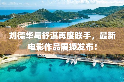 刘德华与舒淇再度联手，最新电影作品震撼发布！