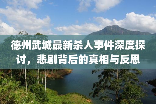 德州武城最新杀人事件深度探讨，悲剧背后的真相与反思