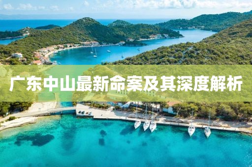 广东中山最新命案及其深度解析