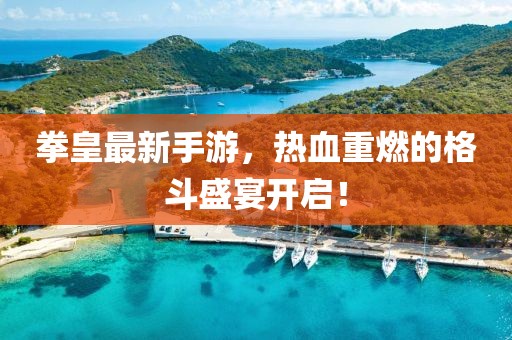 拳皇最新手游，热血重燃的格斗盛宴开启！