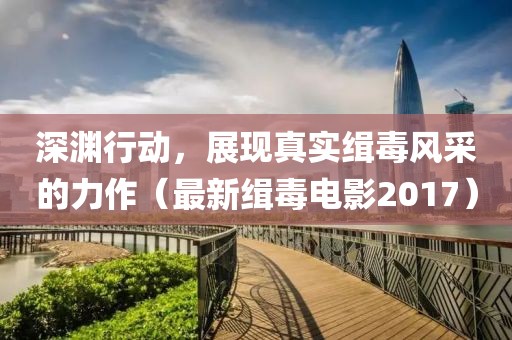 深渊行动，展现真实缉毒风采的力作（最新缉毒电影2017）
