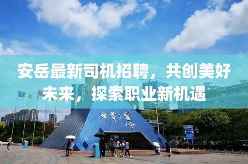 安岳最新司机招聘，共创美好未来，探索职业新机遇