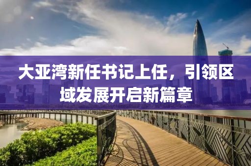 大亚湾新任书记上任，引领区域发展开启新篇章