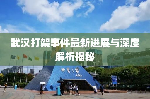 武汉打架事件最新进展与深度解析揭秘
