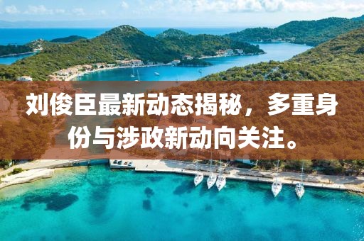 刘俊臣最新动态揭秘，多重身份与涉政新动向关注。