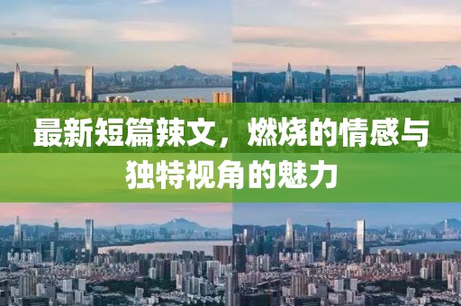 最新短篇辣文，燃烧的情感与独特视角的魅力
