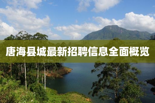 唐海县城最新招聘信息全面概览