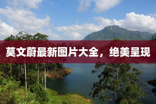 莫文蔚最新图片大全，绝美呈现