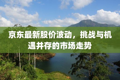 京东最新股价波动，挑战与机遇并存的市场走势