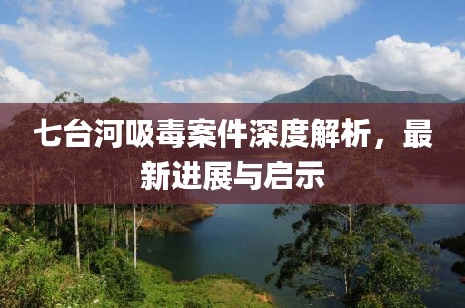 七台河吸毒案件深度解析，最新进展与启示