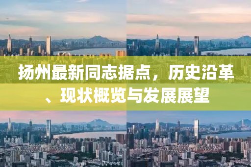 扬州最新同志据点，历史沿革、现状概览与发展展望