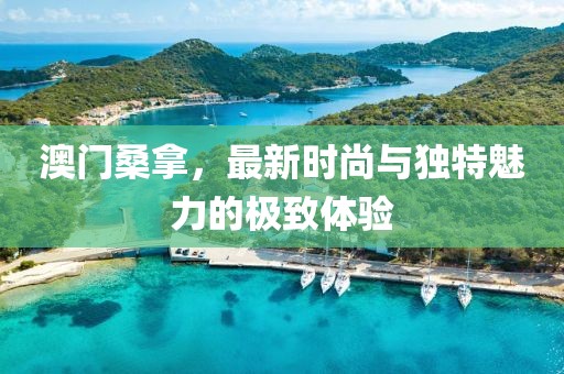 澳门桑拿，最新时尚与独特魅力的极致体验