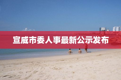 宣威市委人事最新公示发布