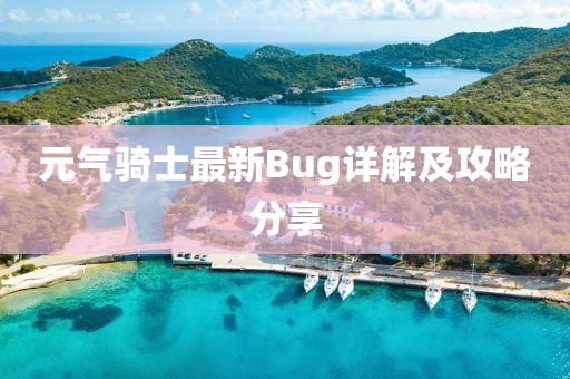 元气骑士最新Bug详解及攻略分享