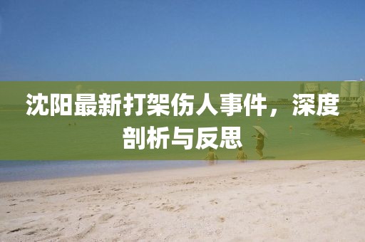 沈阳最新打架伤人事件，深度剖析与反思